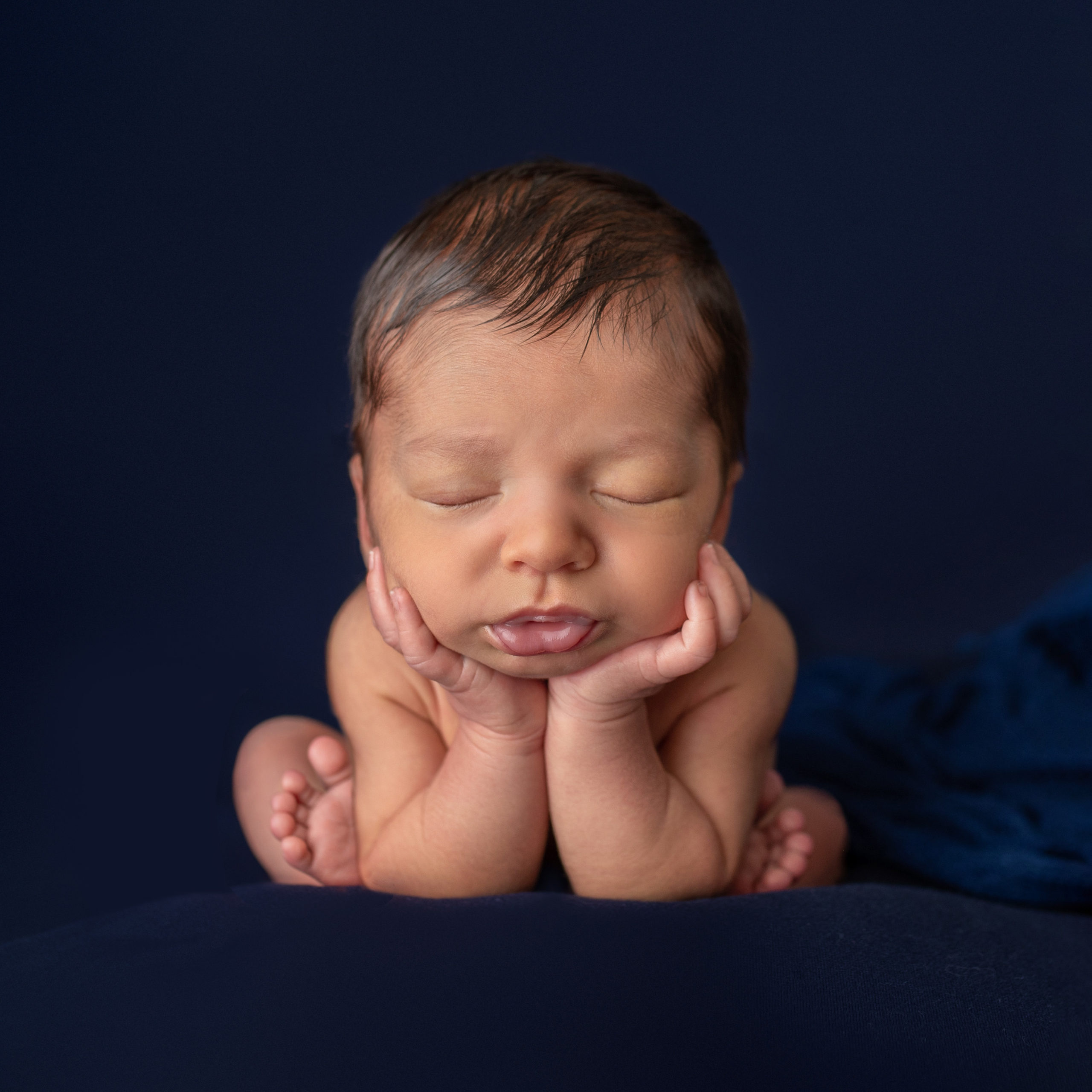 newborn baby in froggy pose with a dark blue backdrop